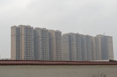 金楓名苑 金楓名苑